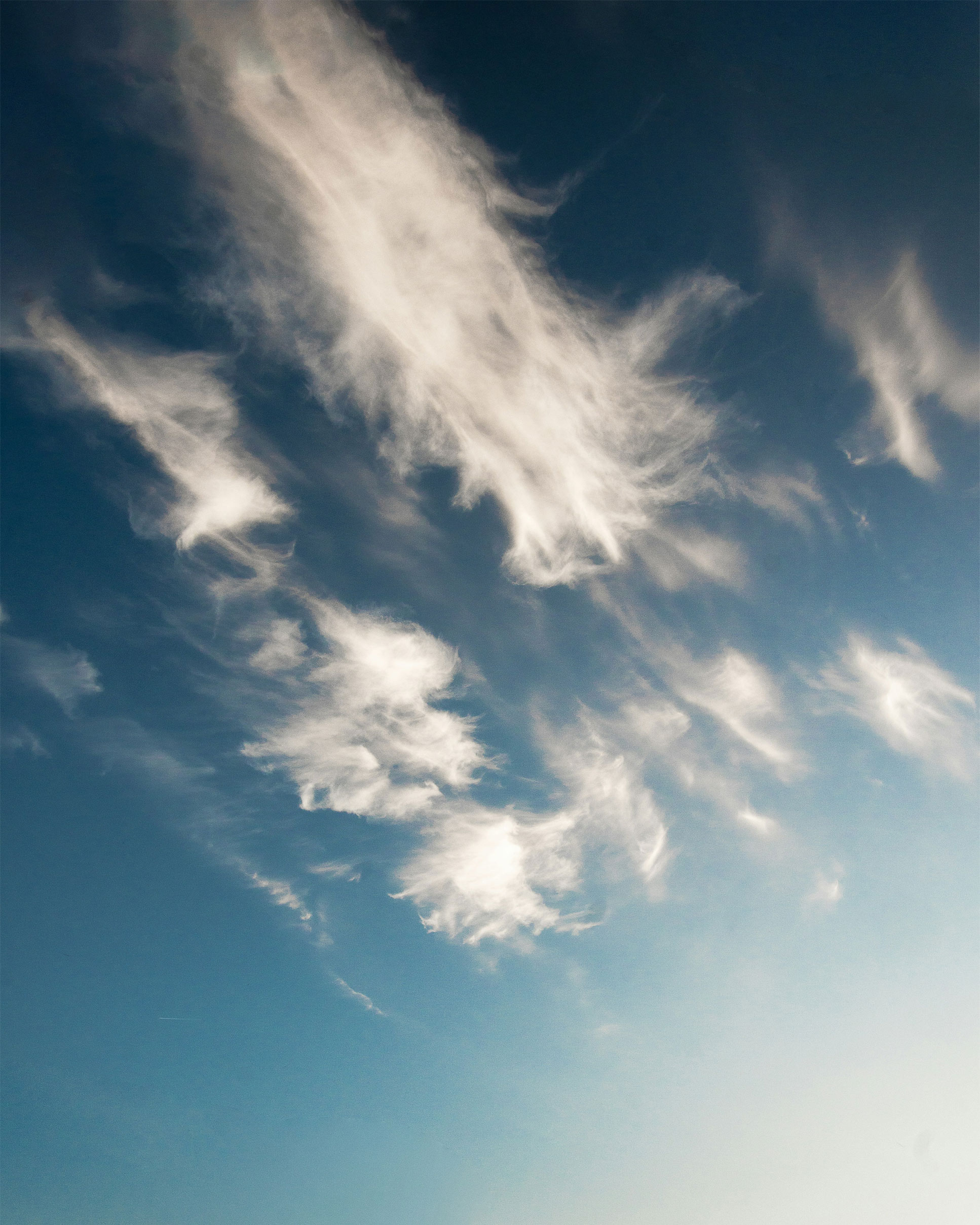 Pretendemos-que-los-distintos-profesionales-que-participen-en-el-taller,-construyan-en-común